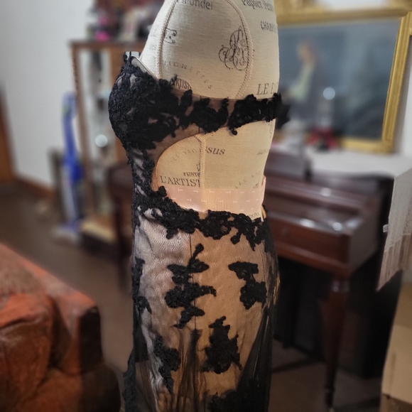 Absolutely gorgeous Victorian gothic style black lace high low prom dress. - Picture 3 of 6